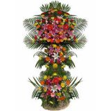 ˵ʻٵ